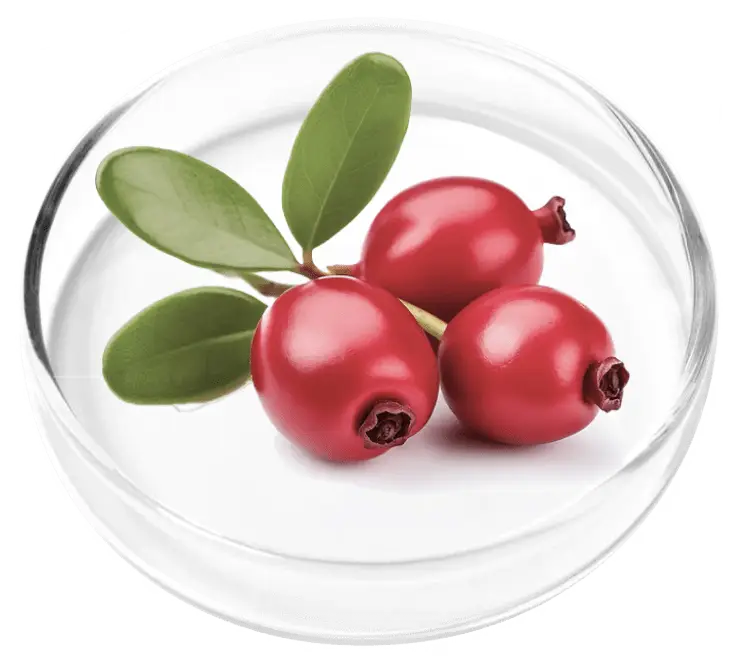 Mimosa Pudica seed extract ingredient in FemiCore